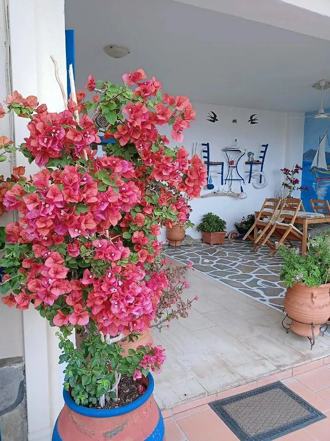 Alexia House Apartment Neos Marmaras